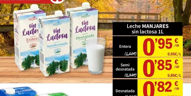 Manjares - Leche Sin Lactosa