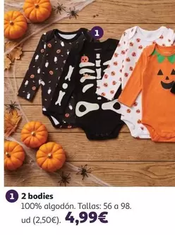 2 Bodies