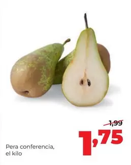 Pera Conferencia