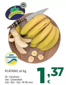 Platano