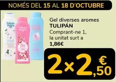 Tulipán Negro - Gel