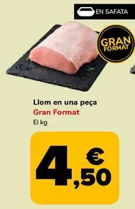 Llom En Una Peça Gran Format