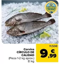 Circulo De Calidad - Corvina