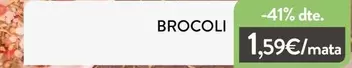 Brocoli