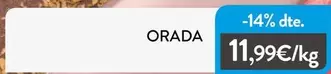 Orada