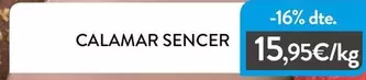 Calamar Sencer
