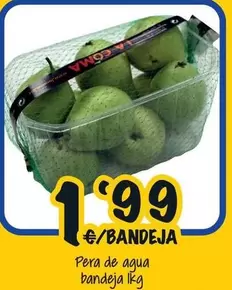 Pera De Agua Bandeja