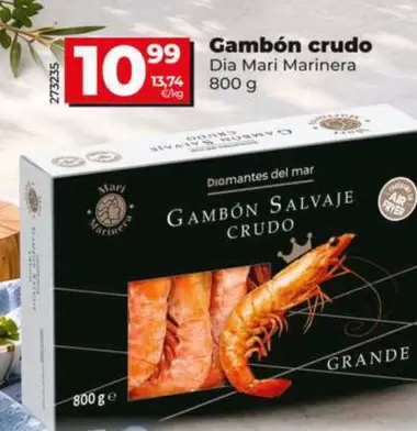 Dia Mari Marinera - Gambón Crudo
