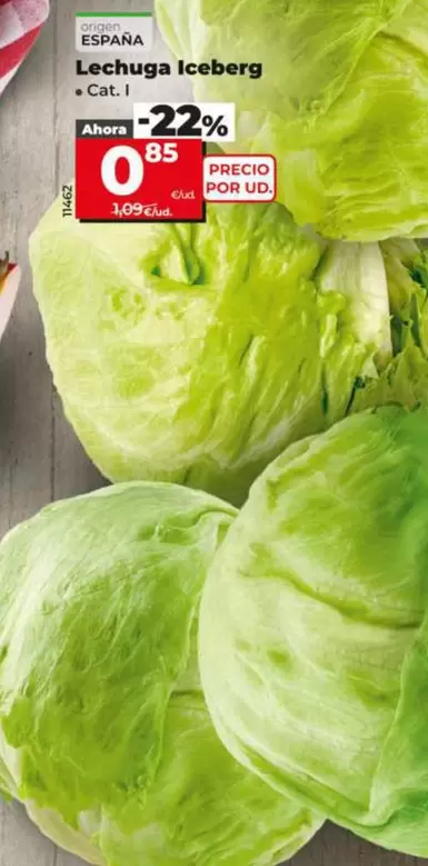 Lechuga Iceberg
