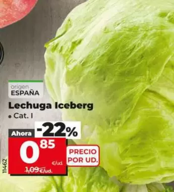 Lechuga Iceberg