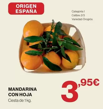 origen - Mandarina Con Hoja