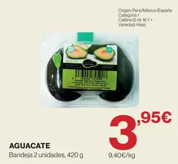 origen - Aguacate