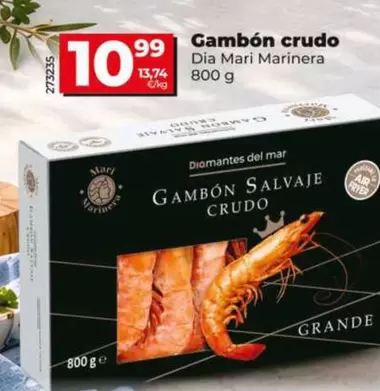 Dia Mari Marinera - Gambón Crudo