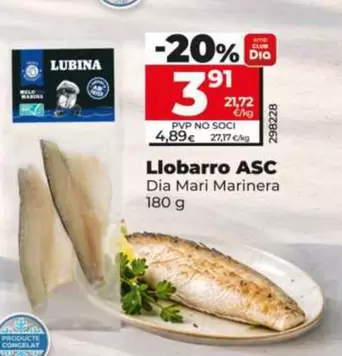 Dia Mari Marinera - Lubina Asc