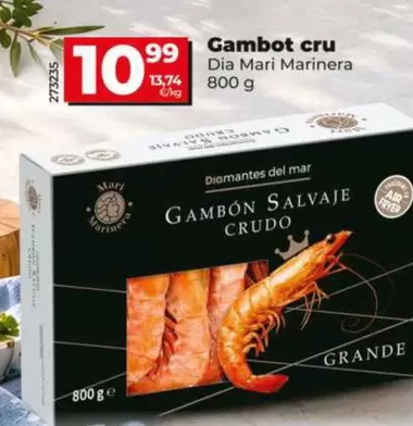Dia Mari Marinera - Gambón Crudo