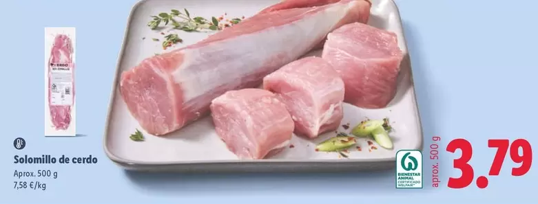 Solomillo De Cerdo