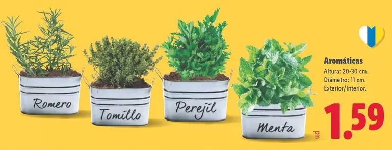 Aromaticas