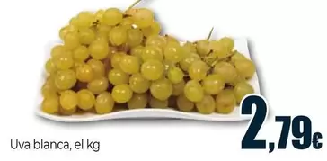 Uva Blanca