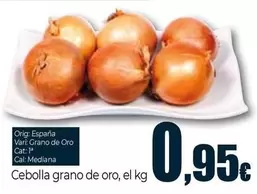 Cebolla Grano De Oro Origen: España