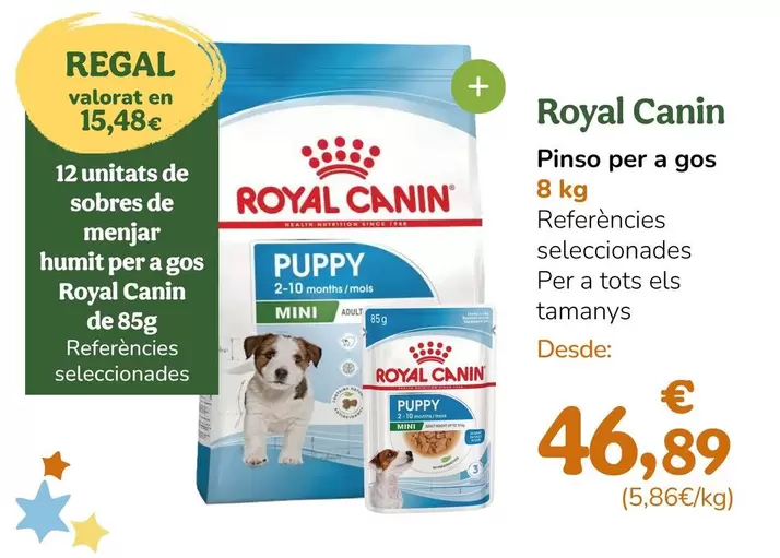 Royal Canin - Pinso Per A Gos