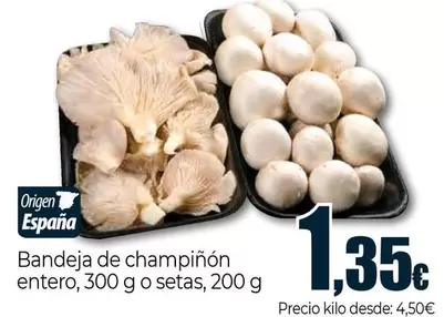 Bandeja De Champiñón Entero O Setas Origen España