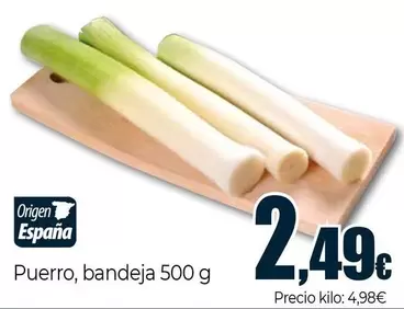 Puerro Origen España