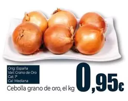 Cebolla Grano De Oro Origen: España
