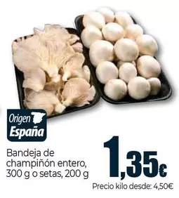 Bandeja De Champiñon Entero O Setas Origen España