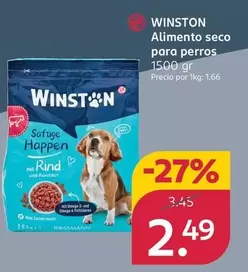 Winston - Alimento Seco Para Perros