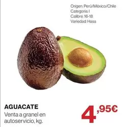 origen - Aguacate