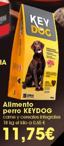Alimento Perro