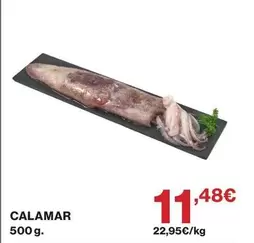 Calamar