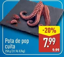Pota De Pop Cuita