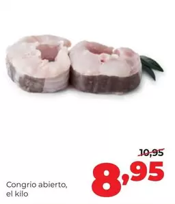 Congrio