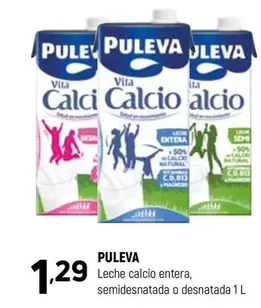 Puleva - Leche Calcio Entera