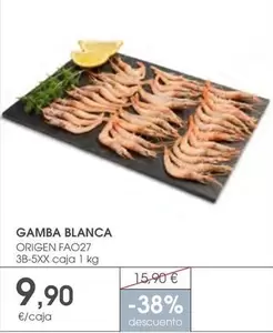 origen - Gamba Blanca