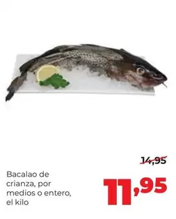 Bacalao De Crianza