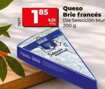 Dia Seleccion Mundial - Queso Brie Francés
