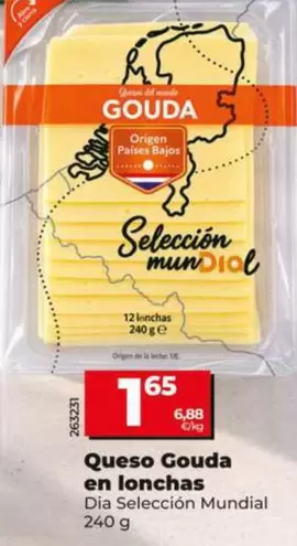 Dia Seleccion Mundial - Queso Gouda En Lonchas