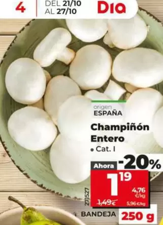 Champiñón Entero 