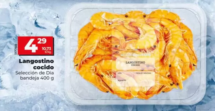 Seleccion De Dia - Langostino Cocido 