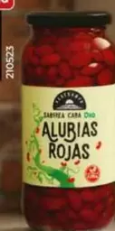 Dia Vegecampo - Alubias Rojas Cocidas