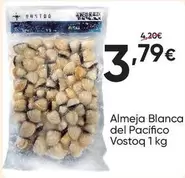 Almeja Blanca Del Pacifico
