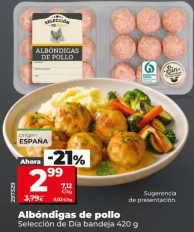 Seleccion De Dia - Albóndigas De Pollo