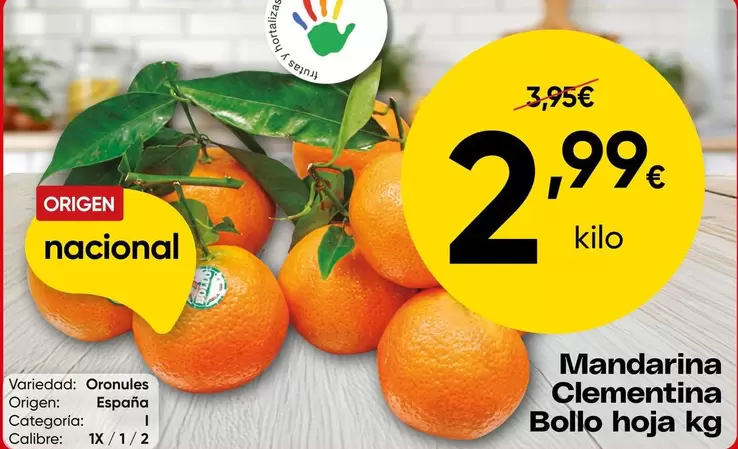 origen - Mandarina Clementina