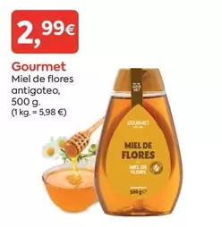 Gourmet - Miel De Flores Antigoteo