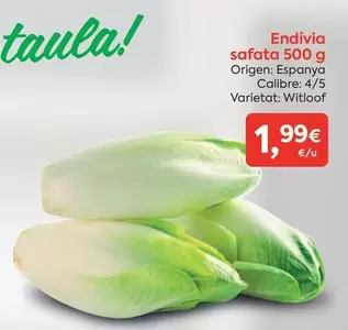 origen - Endivia Safata