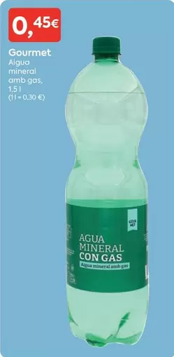 Gourmet - Algua Mineral Amb Gas