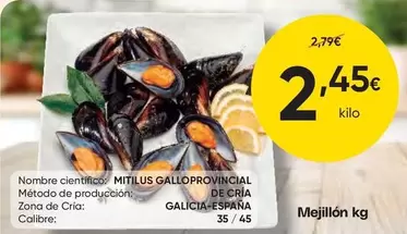 Mejillón