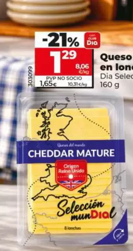Dia Seleccion Mundial - Queso Cheddar En Lonchas 